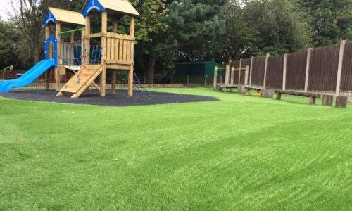 Easigrass Lancashire grass for schools